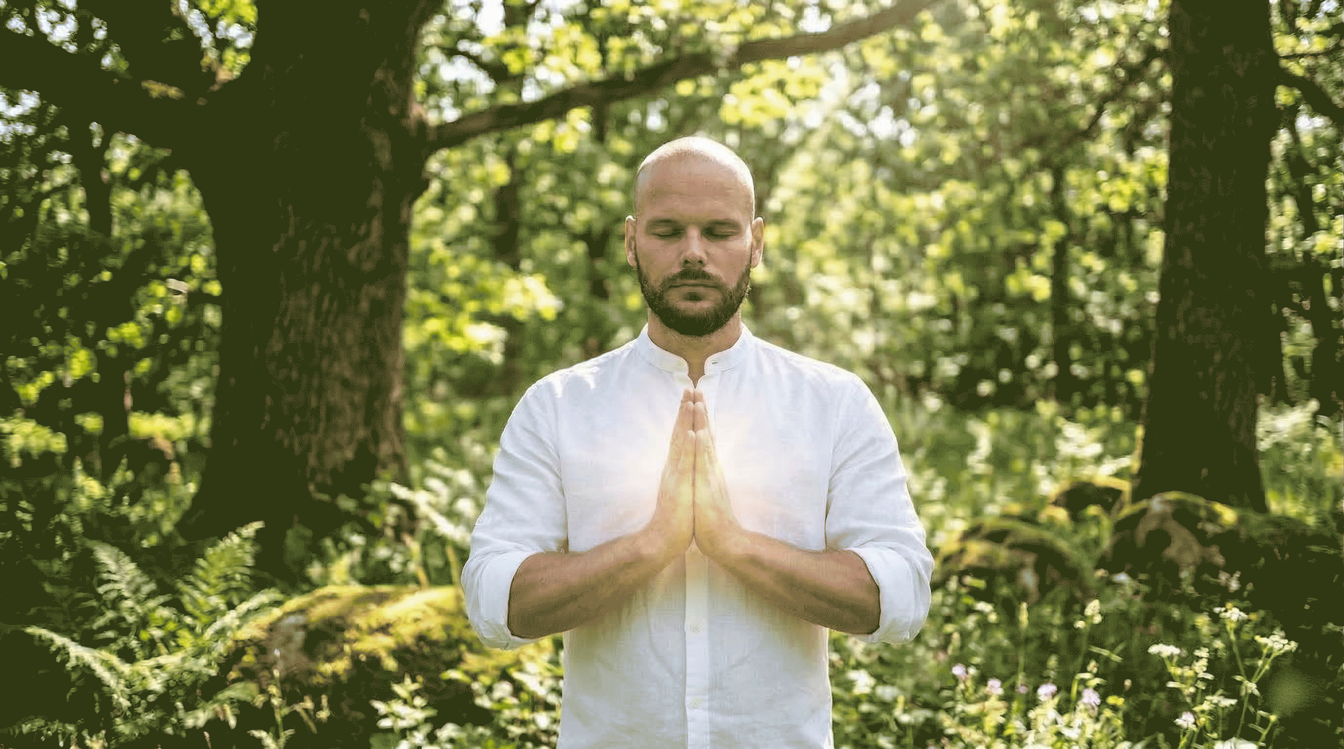 Mani in posizione Reiki